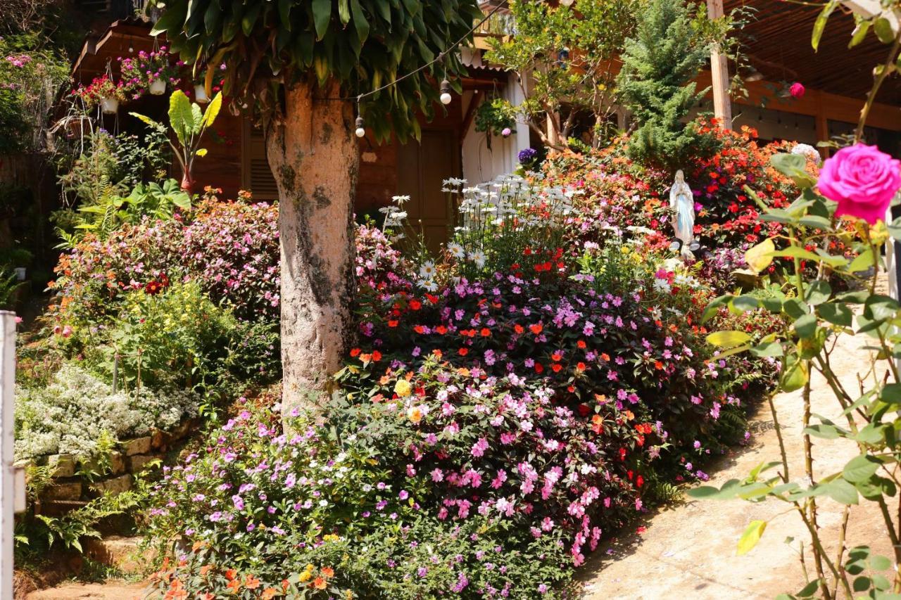 Soul Pnb Homestay Da Lat Exterior photo