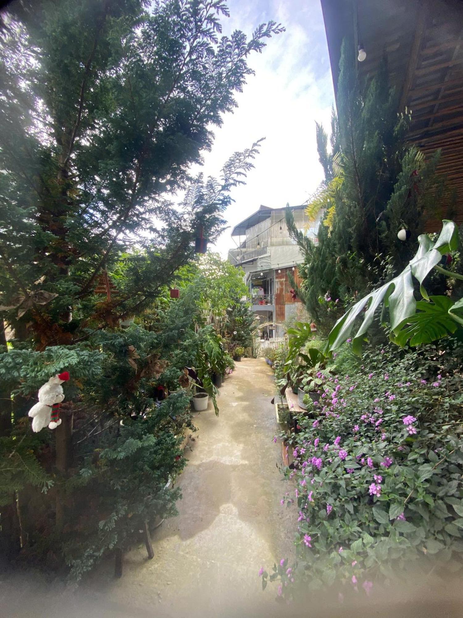 Soul Pnb Homestay Da Lat Exterior photo